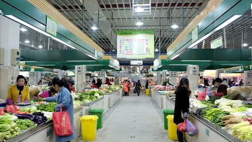 路橋食光 共享美味，打造農(nóng)產(chǎn)品批發(fā)新生態(tài)